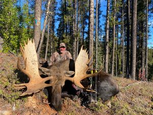 Moose17.jpeg