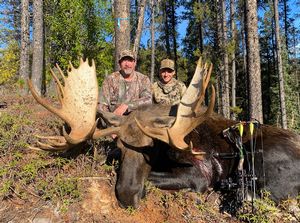 Moose19.jpg