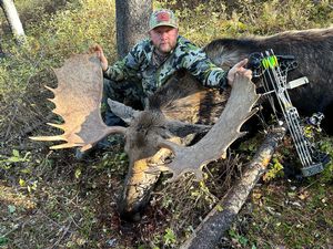 Moose22.JPG