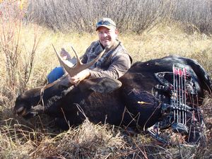 Moose3.JPG