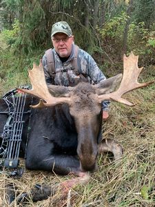 Moose4.jpeg