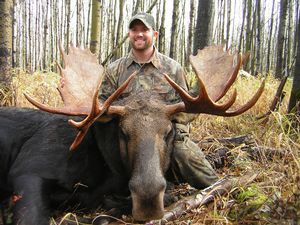 Moose5.JPG