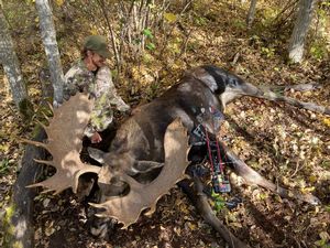 Moose7.JPG