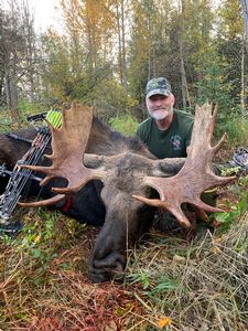 Moose8.jpeg