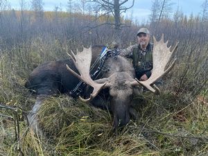 Moose9.jpeg