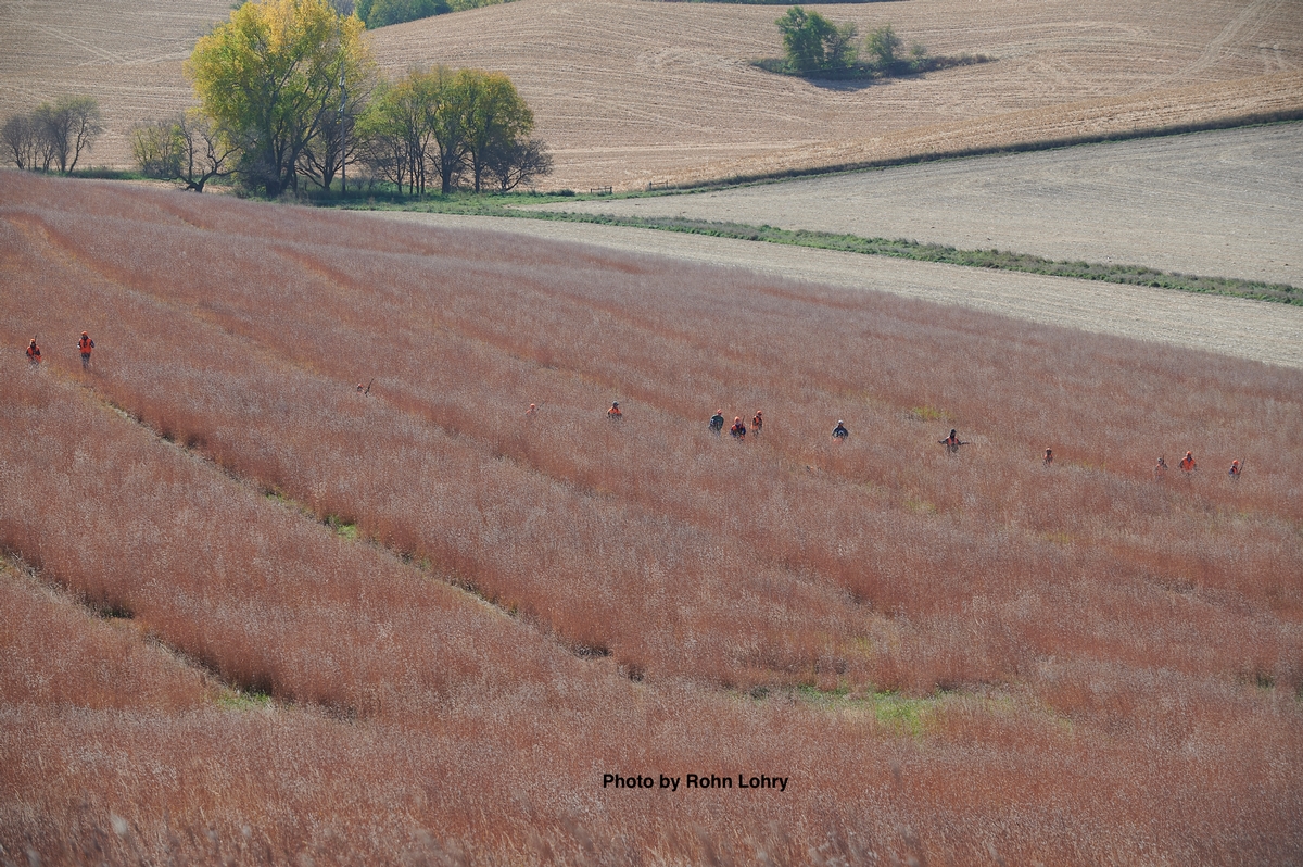 Food Plots